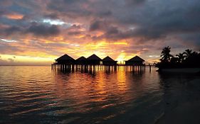 Coconuts Beach Club Resort And Spa